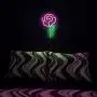 Isaac Jacobs 15'' x 9'' inch LED Neon Pink Rose Flower with Green Stem Wall Sign For Cool Light, Wall Art, Bedroom Decorations, Home Accessories, Party, and Holiday Decor: Powered by USB Wire (ROSE) Isaac Jacobs 15'' x 9'' inch LED Neon Pink Rose Flower with Green Stem Wall Sign For Cool Light, Wall Art, Bedroom Decorations, Home Accessories, Party, and Holiday Decor: Powered by USB Wire (ROSE)