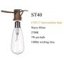 Goothy ST40 10Ft Outdoor Patio String Lights,Set of 10 Glass C9/E17 Intermediate Base Edison Style Bulb String Lights Garden/Backyard Party/Wedding Outdoor String Lights(Plus 1 Extra Bulbs)-White