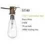 Goothy ST40 10Ft Outdoor Patio String Lights,Set of 10 Glass C9/E17 Intermediate Base Edison Style Bulb String Lights Garden/Backyard Party/Wedding Outdoor String Lights(Plus 1 Extra Bulbs)-White