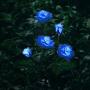 New Material Outdoor Realistic Solar Powered Rose Lights Flower Stake, for Garden Patio Yard Pathway Decoration, Blue