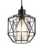 ZhLCY Industrial Metal Pendant Light with Clear Glass Shape Retro Mini Hanging Light Rustic Wire Cage Pendant Lighting Fixture for Kitchen Island Bar Sink Loft Farmhouse, Oil Rubbed Bronze