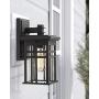 Zeyu 1-Light Exterior Wall Mount Light Fixtures, Outdoor Wall Sconce Lantern in Black Finish with Clear Glass Shade, 20068B1