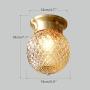 Modo Lighting Glass Globe Flush Mount Ceiling Light Creative Pineapple Ceiling Pendant Lights Industrial Antique Brass Ceiling Light Fixture for Living Room Hallway Study Room