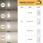 ST58 Vintage LED Edison Light Bulbs 60W Equivalent, 4000K Daylight White, Kohree Dimmable LED Filament Bulbs 6W E26 Base Lamp for Home, Restaurant, Reading Room