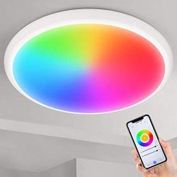 Smart Ceiling Light Flush Mount - YUNLIGHTS 12'' 24W RGB Ceiling Light Fixture Compatible with Alexa & Google Home & WiFi App Control, Waterproof LED Ceiling Light for Bedroom | Bathroom | Living Room