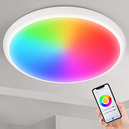 Smart Ceiling Light Flush Mount - YUNLIGHTS 12'' 24W RGB Ceiling Light Fixture Compatible with Alexa & Google Home & WiFi App Control, Waterproof LED Ceiling Light for Bedroom | Bathroom | Living Room