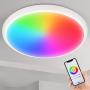 Smart Ceiling Light Flush Mount - YUNLIGHTS 12'' 24W RGB Ceiling Light Fixture Compatible with Alexa & Google Home & WiFi App Control, Waterproof LED Ceiling Light for Bedroom | Bathroom | Living Room