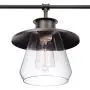 Globe Electric 65382 Nate 4-Light Pendant, Oil Rubbed Bronze, Clear Glass Shades