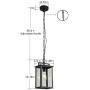 Smeike Outdoor Pendant Light Exterior Hanging Lantern, 1-Light Outdoor Pendant Lighting for Porch, Matte Black Finish with Clear Glass, Height Adjustable