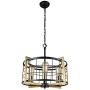 Bizinlumin Luxury Round Gold Pendant Lighting, Modern Black Dining Room Chandelier Light Fixture Industrial Metal Cage Living Room Entry Bedroom Drum Light 4 Lights Edison E26 BY19002G
