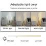 Fan-Ling LED Floor Lamp 26W with Remote Control Super Bright, 4 Colors Dimmable Adjustable, Modern LED Arc Lamp, Standing Tree Lamp for Living Rooms, Bright Hanging Lighting