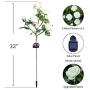 HAPJOY Solar Flower Lights Outdoor Waterproof Decorative LED Solar Powered Stake Lights,6 Rose Flower 1 Pack Lights for Patio Pathway Courtyard Garden Lawn (White)