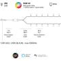 Twinkly - TWS250SPP Special Edition 250 RGB+White LED String Lights - App-Controlled LED Christmas Lights with Green Cable (65.5ft) - IoT & Razer Chroma Enabled - Indoor/Outdoor Party Decorations