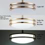 COTULIN 2-Light Modern Gold Metal Flush Mount Ceiling Light,Ceiling Light Fixture for Living Room Bedroom Dining Room Kitchen Hallway Corridor,Lighting Fixture Ceiling Lamp Perfect for Home Decor