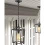 Emliviar Modern Outdoor Pendant Light, 1-Light Outdoor Hanging Lantern Light in Balck Finish with Clear Glass, 20065H BK