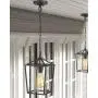 Emliviar Modern Outdoor Pendant Light, 1-Light Outdoor Hanging Lantern Light in Balck Finish with Clear Glass, 20065H BK Emliviar Modern Outdoor Pendant Light, 1-Light Outdoor Hanging Lantern Light in Balck Finish with Clear Glass, 20065H BK