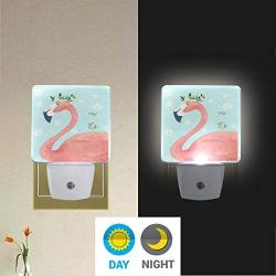 Vdsrup Beautiful Florals Flamingo Night Light Set of 2 Spring Summer Daisy Flowers Plug-in LED Nightlights Auto Dusk-to-Dawn Sensor Lamp for Bedroom Bathroom Kitchen Hallway Stairs