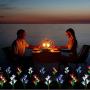 Outdoor Solar Garden Stake Lights, 3Pack Lily Flower Lights Waterproof Solar Landscape Lights, Outdoor Decoration Lights for Garden, Patio, Backyard
