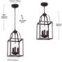 MELUCEE 3-Light Lantern Pendant Light Farmhouse Chandelier Bird Cage 8 Inches Oil Rubbed Bronze Light Fixtures Ceiling Hanging for Foyer Dining Room Entry Hallway, E12 Base