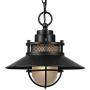 Globe Electric 44166 Liam 1-Light Outdoor/Indoor Pendant, Black, Matte Finish
