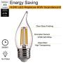 FLSNT LED 60 Watt Equivalent Chandelier Bulbs, 4.5 Watt Dimmable Filament Clear LED Candelabra Bulbs, E26 Medium Base CA11 LED Candle Bulbs, 2700K Soft White, 6 Pack