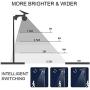 ECO-WORTHY LED Solar Flood Lights, 1500 Lumens Outdoor Dusk to Dawn Security Lights Super Bright IP67 Waterproof for Yard, Garden, Swimming Pool, Pathway, Basketball Court