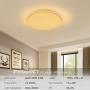 OOWOLF 25W Dimmable LED Ceiling Light, Upgraded Modern 15.7in RGB Close to Ceiling Lamp Fixture with Remote for Bedroom,Living Room,Kitchen,Dining Room