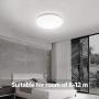 OOWOLF LED Ceiling Light, Modern 22W Led Ceiling Lamp Fixture Ultra Thin 11.8in 1900LM 4500K Natural White for Kitchens Stairwells Basements Bedrooms Washrooms