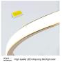 LED Pendant Light, Ceiling Light Fixture, Adjustable Pendant, AC85-265V Warm White Light, 20W Metal Ceiling Pendant Light Hung Light Painting Lamp Fixture for Living Room Bedroom Dinning Room (Gold)