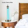 IESTARING Desk Lamp, Desk Light with Remote Control, Copper Table Light for Home Bedroom School Hotel Living Room (Copper)