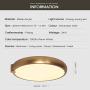 Dimmable Ceiling Light Fixture LED with Remote Control, 15 Inch Gold Ceiling Lights, 24W Modern Flush Mount Ceiling Light for Living Room Bedroom Ceiling Lamp for Island Dinning Room Office