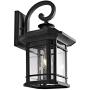 Safavieh PLT4011A Lighting Cendra Black Wall (LED Bulb Included) Outdoor Lantern