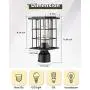 FEMILA Outdoor Post Light Fixture, Exterior Pole Lantern, Waterproof Matte Black Pillar Light with Clear Glass Shade, 4FY40P BK