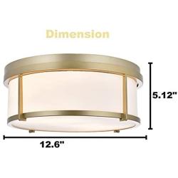 SOTTAE 2-Light Flush Mount Ceiling Light,Gold Frame and White Glass Drum Shade Light,Ceiling Light Fixture for Closet Kitchen Bathroom Foyer Stairs Laundry and Bedroom