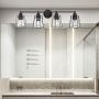 VINLUZ 4-Light Metal Cage Bathroom Vanity Light Industrial Wall Lighting with Clear Glass Shade Vintage Rustic Sconce Wall Light Fixtures for Dining Room Living Room Kitchen Hallway