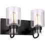 Contemporary 2-Light Vanity Light Fixture Modern Clear Glass Shades Lighting Black Dining Room Lighting Fixtures (2-Light)