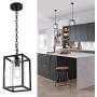 MAYNA Industrial Retro Pendant Lighting Iron Chandelier with Modern Clear Glass Shade，Matte Black Cage Hanging Light Fixture for Kitchen Island，Farmhouse, Dining Room, Foyer