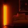 BRÜUN Corner Floor Lamp Led | Nordic Decoration Standing Floor Lamps for Living Room Night Light Dimming Standing Lamp Bedroom Decor Modern Floor Light Remote Control Black Minimal Design (RGB)