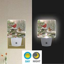 Vdsrup Winter Cardinal Birds Night Light Set of 2 Holly Berry Branches Snow Plug-in LED Nightlights Christmas Decorations Auto Dusk-to-Dawn Sensor Lamp for Bedroom Bathroom Kitchen Hallway Stairs