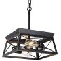 HMVPL Industrial Pendant Lighting Fixtures, Farmhouse Swag Chandeliers Hanging Light Mini Ceiling Lamp 2-Light for Kitchen Island Dining Room Bedroom Foyer Hallway Front Door
