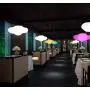 Modern Chandelier Kid Room Ceiling Light Fixtures Gift Lighting for Child Room,Hallway,Closet,Girls Room,Dining Room Lampara