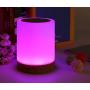 Night Light, Lightimes Touch Lamp for Bedrooms Living Room Portable Table Bedside Lamps with USB Rechargeable Internal Battery Dimmable Warm White Light & Color Changing RGB … (Wood)