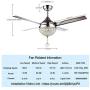 Crystal Modern Ceiling Fan Chandelier With LED Light And Remote Control 4 Stainless Steel Blades Quiet 44 Inch For Indoor Home Decoration Living Room Bedroom Chrome, Tropicalfan