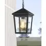 Zeyu Outdoor Pendant Light, Exterior Hanging Light Ceiling Lantern for Hallway Porch, Black Finish with Clear Glass, 20076H