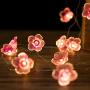Flower String Lights Fairy Pink Cherry Blossom String Lights, 10ft 30 LEDs Battery Operated String Lights for Kids Girls Bedroom, Christmas, Spring, Nursery, Wedding, Indoor Outdoor Decoration Flower String Lights Fairy Pink Cherry Blossom String Lights, 10ft 30 LEDs Battery Operated String Lights for Kids Girls Bedroom, Christmas, Spring, Nursery, Wedding, Indoor Outdoor Decoration