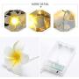 Plumeria String Lights, Fantasee Foam Artificial Plumeria Flower Led String Lights Battery Operated Fairy Lights for Bedroom Home Wedding Hawaiian Luau Party Decor (9.8ft 20LED, Warm White)