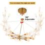 CLAIRDAI Chandelier 12 Lights Pendant Lighting Gold Sputnik Chandeliers Mid Century Ceiling Light Fixtures for Kitchen Dining Area Living Room