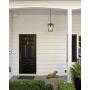 Emliviar Modern Outdoor Pendant Light, 1-Light Outdoor Hanging Lantern Light in Balck Finish with Clear Glass, 20065H BK