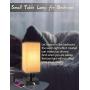 Touch Table Lamps for Bedrooms, Bedside Lamp with USB Port and Outlet, Dicoool Nightstand Lamp 3 Way Dimmable, w/ Fabric Shade and Metal Base for Study Room, Living Room, Set of 2