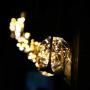 LED Decorative Bulbs,LED Globe Fairy Light Bulb for Ambient Night Lighting, E26 Medium Base Edison with Starry Decorative String Lights for Bathroom, Bedroom, Living Room(G80 Fairy Bulb-4 Pack)